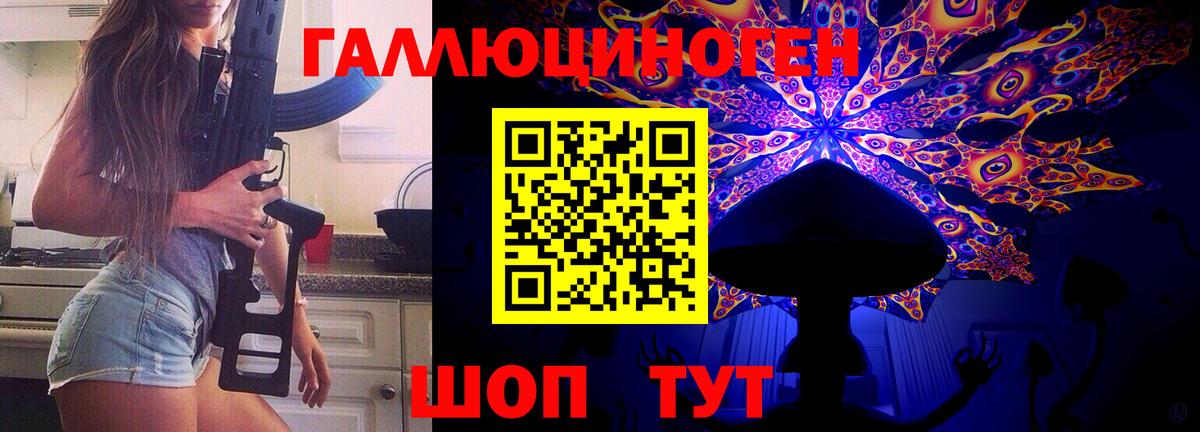 Псилоцибиновые грибы Cubensis Лысьва